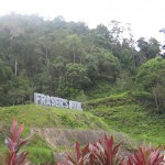 Fraser-Hill-031